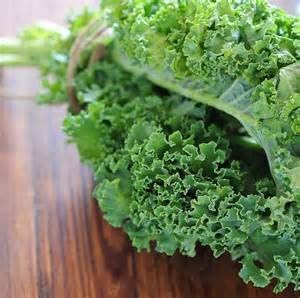 Seed Kingdom 1/4 Lb Kale Dwarf Siberian Improved Great Heirloom Vegetable by Bulk Seeds