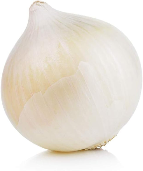 White Sweet Spanish Onion Seeds - 500+ Non-GMO Heirloom Seeds by Isla’s Garden, Ideal for Slicing & Cooking