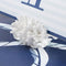 Kate Aspen Seven Seas Coral Place Card Holders - Set of 6 Coastal-Inspired Table Decor for Beach Weddings