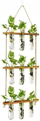 (9 XXXFLOWER Wall Hanging Propagation Station with Wooden Stand Glass Test Tubes Tiered Planters Wall Terrarium