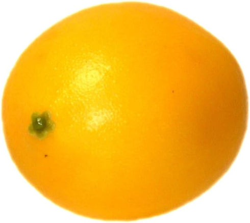 Vasefill Pack 6 Artificial Lemon of Yellow Citrus - Decorative Lemons Faux Fruit Fake - Six Pieces