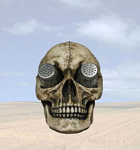 DWK "Deadly Devourings" Skull Salt & Pepper Spice Holder, Gothic Home Decor, Skeleton Decorative Kitchen Spice Holder