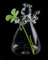 Brccee AC Angel Hanging Glass Flower Vase, Hydroponic Plant Flower Vase for Office (S)