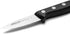 Arcos 3 Inch 75mm Rivet Paring Knife Stainless Steel. Kitchen Knife for Peeling Fruits and Vegetables. Ergonomic
