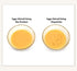 Seki Japan Egg Mix Stick, Egg Yolk and White Strring Stainless Steel Blade, Chalaza Removal Parts, with Safety Cover