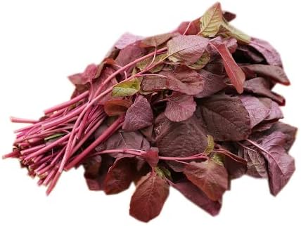 HipGirl Red Amaranth Seeds for Planting.Chinese Spinach Seeds for Planting.Non GMO Seed for