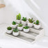 Cq Acrylic 2 Pack Spice Rack Organizer, 14.5 Inch Tiered Seasoning Can Shelf for Pantry, White