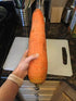 CEMEHA SEEDS 1000 Seeds Giant Red Carrot Sweet Non GMO Vegetable for Planting Seeds