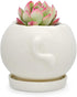 White Cow Ceramic Succulent Planter with Drainage Tray, Indoor Cow Stuff Pen Pencil Brush Holder Decor