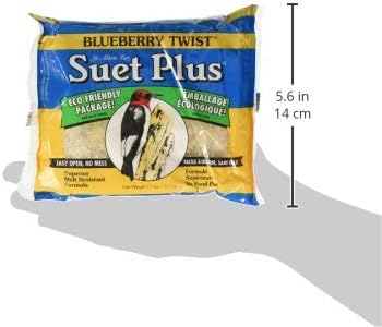 Wildlife Sciences Suet Plus Blueberry Twist Feeder