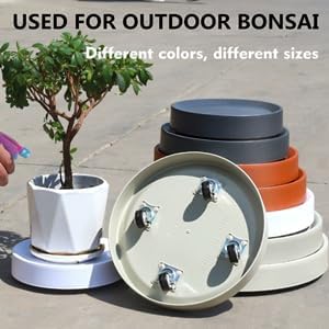 Wheels,2-Pack 10 Inch Plant Caddy with Hidden Gray+Light Gray Rolling Plant Stand Mobile Tray, Easy Move Small & Medium