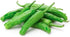 HipGirl Organic Asian Pepper Seeds for Planting Vegetables and Fruits for ,Non-GMO Heirloom