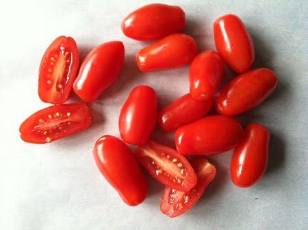 (2) 4" 8" 4" Inch Clovers Garden San Marzano Tomatoes Two Live Plants Non-GMO - Not Seeds - Each to Tall in Pots