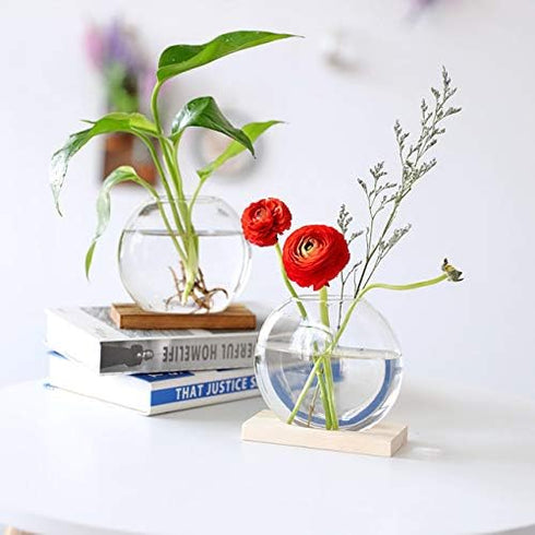2-Pack, Kingbuy Round Glass Desktop Planter with Wooden Stand - Propagation Vase for Hydroponic Plants, Spider Plants