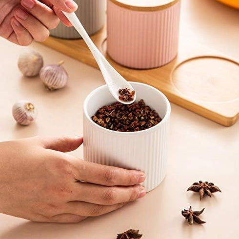 Ceramic Embossed Stripe Sugar Bowl, Spice Jar Storage Seasoning Pot with Lid and Spoon