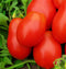 Instant Latch 250 Roma VF Tomato Seeds for Planting Non GMO Heirloom Seeds Garden