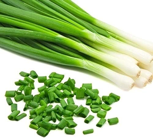 Apexmode 3500+ Long Green Scallion Seeds for Planting, Bunching Long Green Onion Seeds,