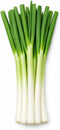 Sunutri Seeds Scallion Bunching Onion Seeds, 250+ Evergreen Hardy White, Heirloom, Non-GMO, Allium fistulosum