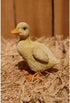 Hi-Line Gift 87697-B 2 Piece Ducklings Statue