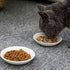 BigNoseDeer Super Cute Cat Ceramic Sauce Dish, Mini Side Seasoning Dish, Set of 6