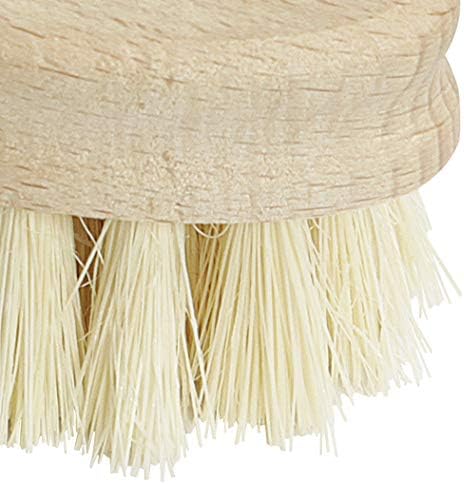 2.5 5.5 Kuechenprofi Vegetable Brush - x in, Beechwood Handle & Natural Bristles - Dish Scrubber & Kitchen Scrub Brush