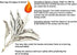 (Pack of 3) New Age Smudges & Herbs - Premium California White Sage Incense, 4 Inches
