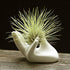 Eshylala 3 Pack Air Plants Holders Ceramic Mini Hand Shape Stand Tillandsia Holder Small Container Pot Hand Shape Small