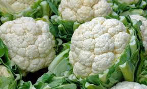25 Cauliflower Seed, Snowball Y, Heirloom, Non GMO, Seeds, Large, Delicious and Healthy