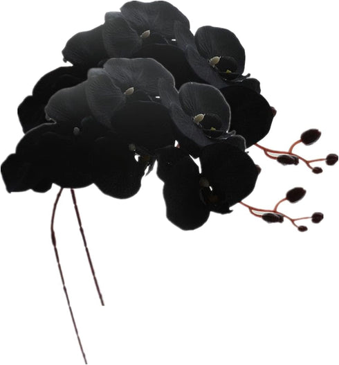 Rikyo 8 Heads Faux Black Orchid, 40" Bouquets 2 Stem Phalaenopsis Fake Flowers for Home Decoration, Office Decor,
