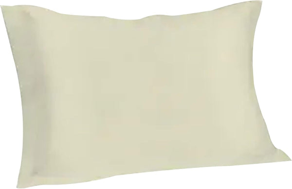 Spasilk Pure Silk Pillowcase, Charmeuse Silk, Hypoallergenic, Queen Sized, Ivory