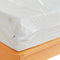 Waterproof Zippered Plastic Mattress Protector Encasement, Vinyl Mattress Bed Cover Proof (Twin Size)