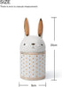 HAUCOZE Rabbit Cookie Jar Decorative Candy Jar with Lid, Modern Ceramic 8.1inch