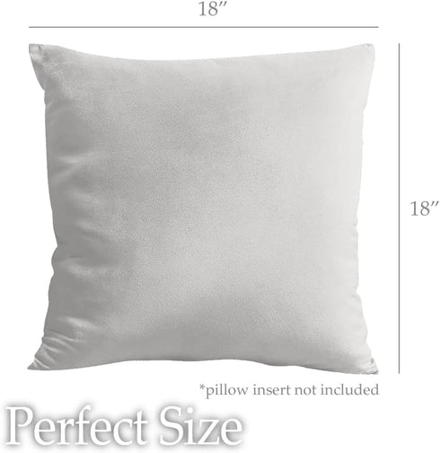 lalaLOOM Velvet Throw Pillow Covers, Set of 2 - 18x18 Decorative Square Pillows, Soft Accent Cases, Light Gray