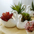 White Ceramic Swan Flowerpot, Medium Temperature Porcelain, Succulent Flowerpot, Pack of 2, Candle Holder