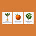 (16 oz.) Liquid Citrus Essentials | fl. | Increase Yield and Health of Citrus Trees | Liquid Fertilizer for Citrus