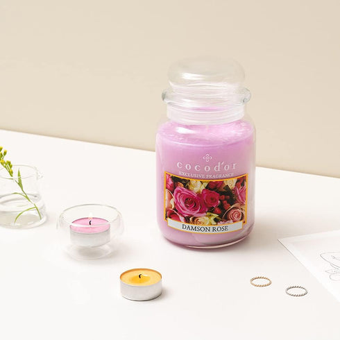 COCODOR Scented Tealight Candles, Winter Jasmine, 25 Pack, 4-5 Hour Burn Time, Made in Italy, Cotton Wick Home Deco