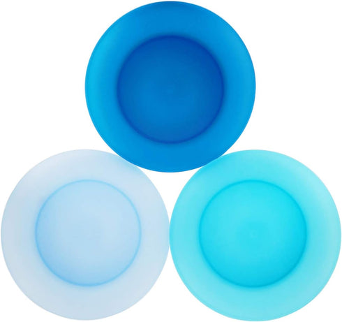 AOYITE 10 inch Plastic Plates Set of 12 - Reusable Lightweight Flat Dinner Plates, BPA Free