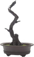 KOET Artificial Bonsai Pine Tree, 11 Inch Faux Potted Plant for Desk Display, Japanese Cedar Bonsai Plant for Home,