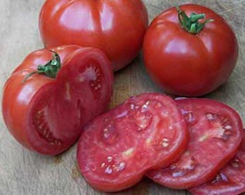 25 Big Beef Tomato Seeds Early, Large Fruits, Heavy Yields, Disease Resistant
