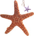 JIANEEXSQ Cute Beach Starfish Shaped Throw Pillows Plush Cushion Nap Pillow Home Decorative