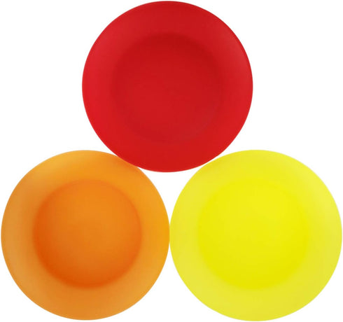 AOYITE 10 inch Plastic Plates Set of 12 - Reusable Lightweight Flat Dinner Plates, BPA Free