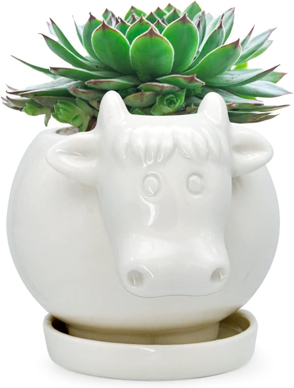 White Cow Ceramic Succulent Planter with Drainage Tray, Indoor Cow Stuff Pen Pencil Brush Holder Decor