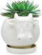 White Cow Ceramic Succulent Planter with Drainage Tray, Indoor Cow Stuff Pen Pencil Brush Holder Decor