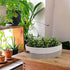 Woven Storage Basket for Toilet Tank Top, Farmhouse Organizing Decor for Bathroom, Table, Counter 13"x5.9"x4" Apricot