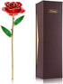 24K Red Rose Christmas Gift, Eternal Love Real Gold Plated Rose Flower, Romantic Present for Wife, Mom, Grandma,