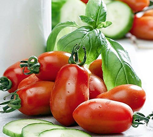 Harley Seeds 30 Italian San Marzano Paste Tomato Seeds, Heirloom Non-GMO, Indeterminate, Open-Pollinated, Productive