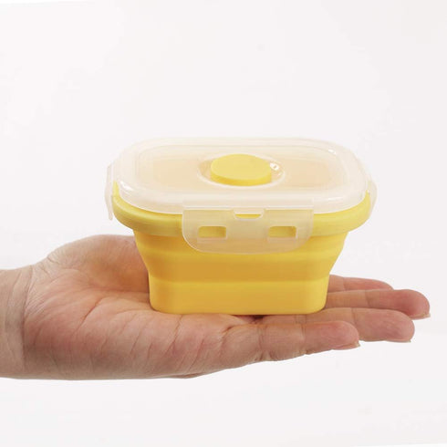 Collapsible Silicone Food Storage Container, Portion Control with Clip-on Lid, Pack of 4