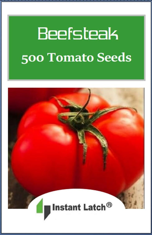 Instant Latch 500 Beefsteak Tomato Seeds for Planting USA Heirloom Tomato Seeds Fresh Non