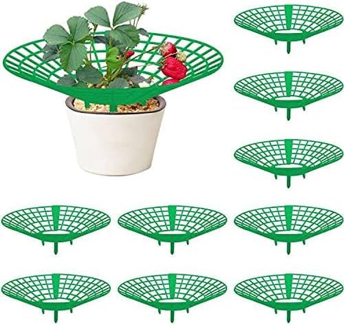 codree 10 Pack 3 Strawberry Plant Supports, Strawberry Plant Stand with Sturdy Legs, Strawberry Growing Racks