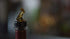 Whiskey Pourer for Liquor Bottles with Flap, Made 100% in USA, Great Whiskey Gift for Home Bar (1, Amber - Standard